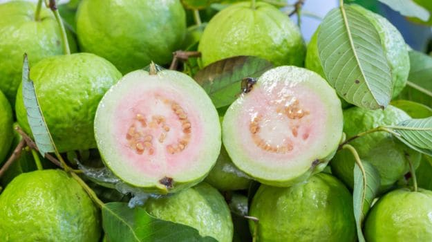 guava-benefits-625_625x350_71447741866